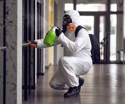 Best Mold Odor Removal Services  in Thorp, WI